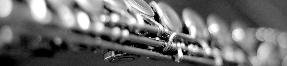 Banner Flute-1